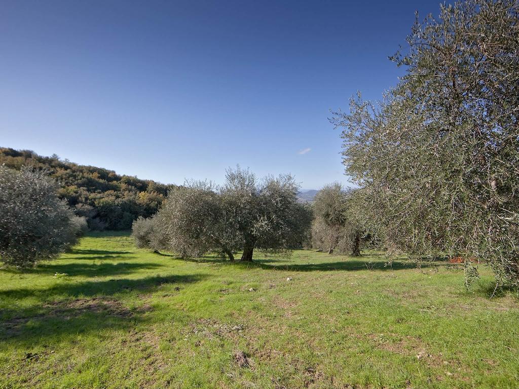 Tenuta La Silva Seggiano Exterior photo