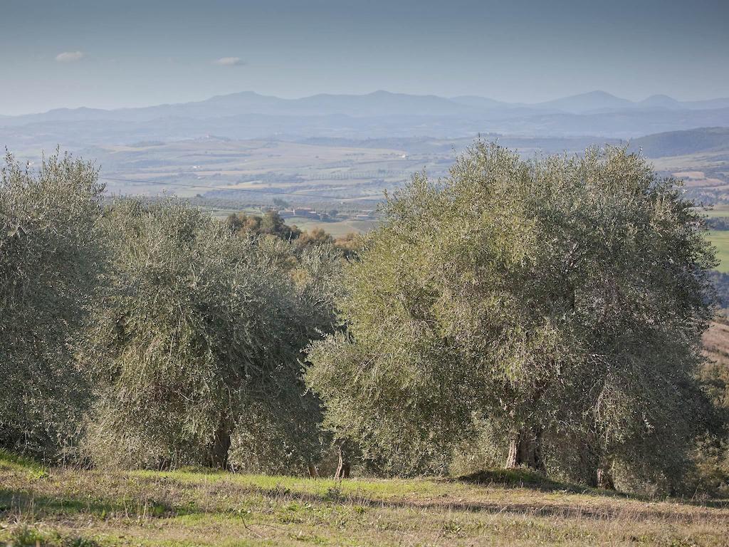 Tenuta La Silva Seggiano Exterior photo