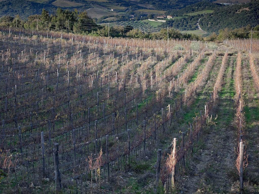 Tenuta La Silva Seggiano Exterior photo